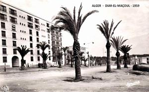 Alger - Diar-el-Mahcoul - 1959